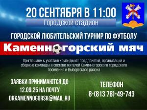 Городской любительский турнир по футболу