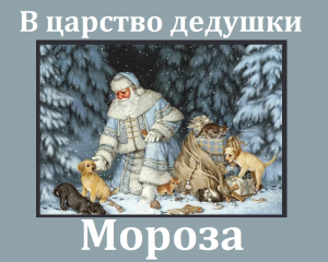 В царство дедушки Мороза